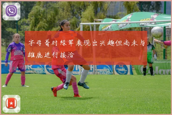字母哥对绿军表现出兴趣但尚未与雄鹿进行接洽