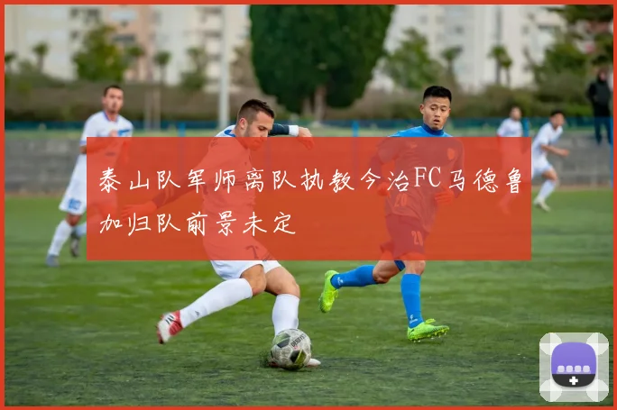泰山队军师离队执教今治FC马德鲁加归队前景未定