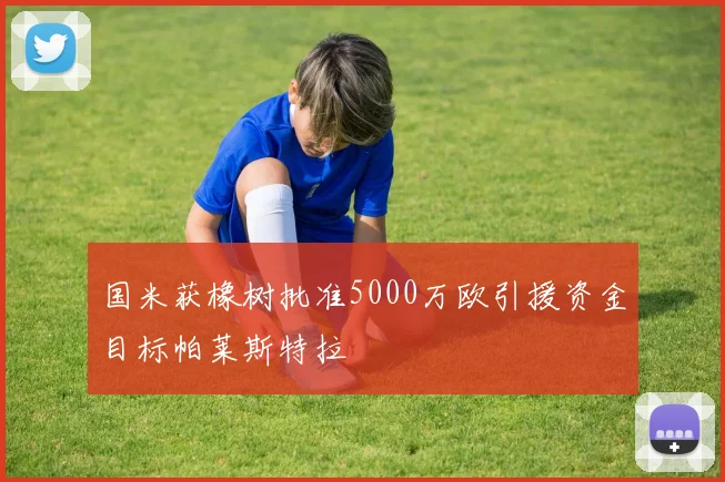 国米获橡树批准5000万欧引援资金目标帕莱斯特拉